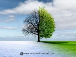 77+ Life-Changing Motivational Quotes About Life That Will Inspire You To Keep Going
