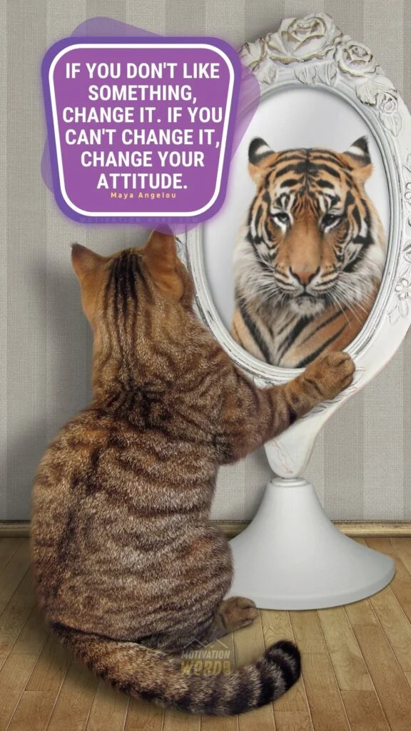 35+ Most Inspirational Maya Angelou Quotes To Lift Your Spirits 2 If you don't like something, change it. If you can't change it, change your attitude. Maya Angelou Quotes