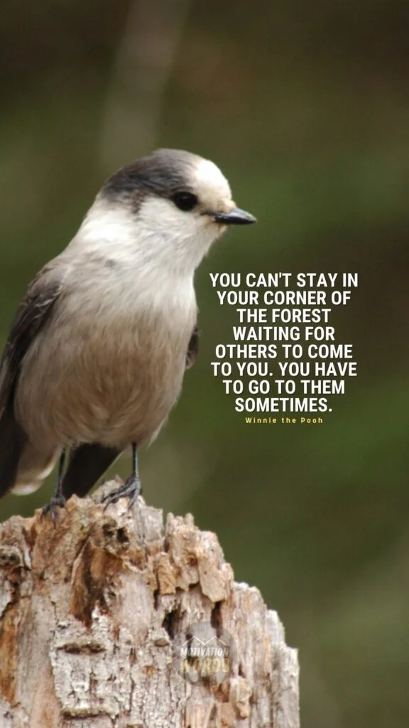 The Most Wonderful Winnie The Pooh Quotes To Brighten Your Day (With Images) 12 You can't stay in your corner of the Forest waiting for others to come to you. You have to go to them sometimes. - Winnie The Pooh Quotes